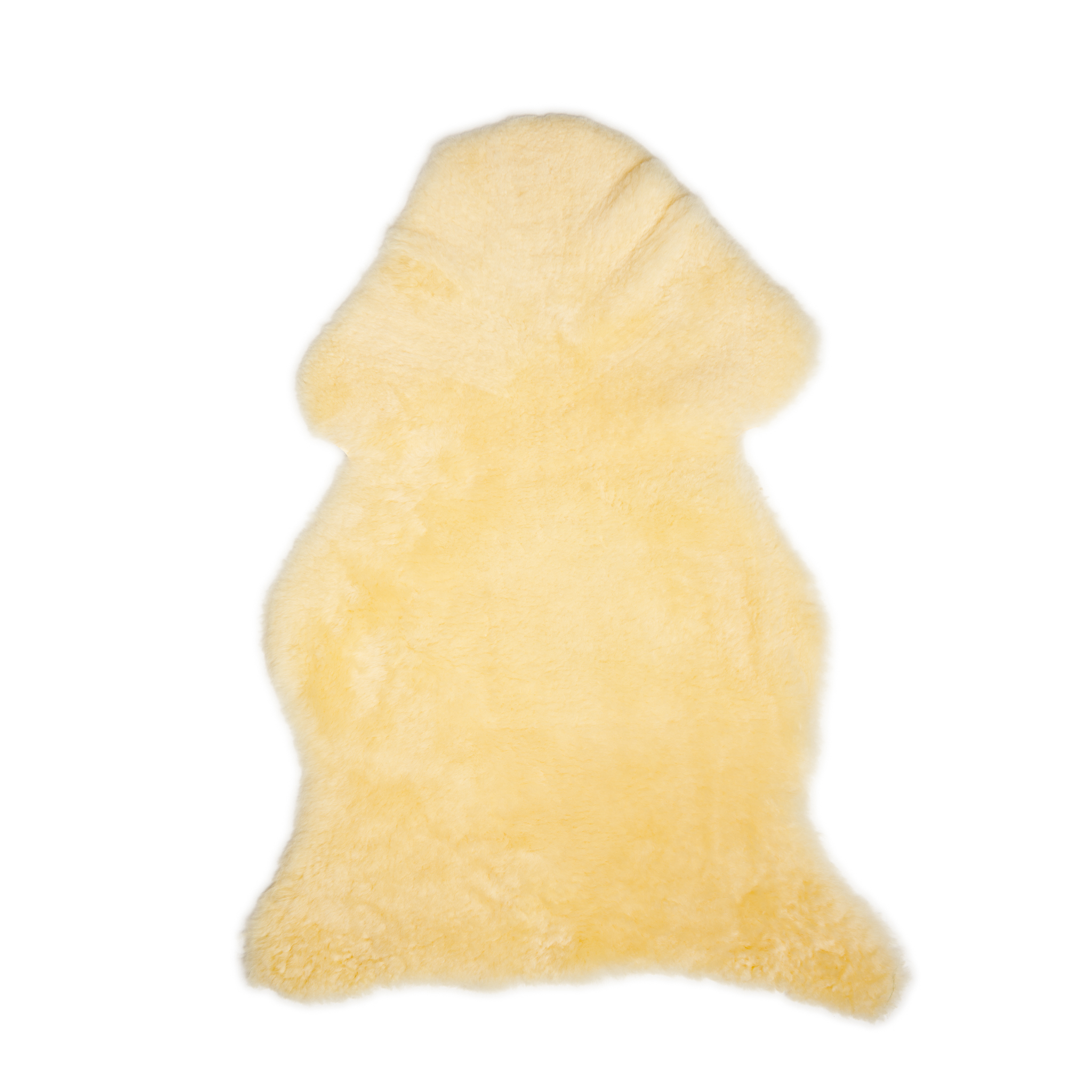 SkoryDekoracyjne_28.06.2024_06363