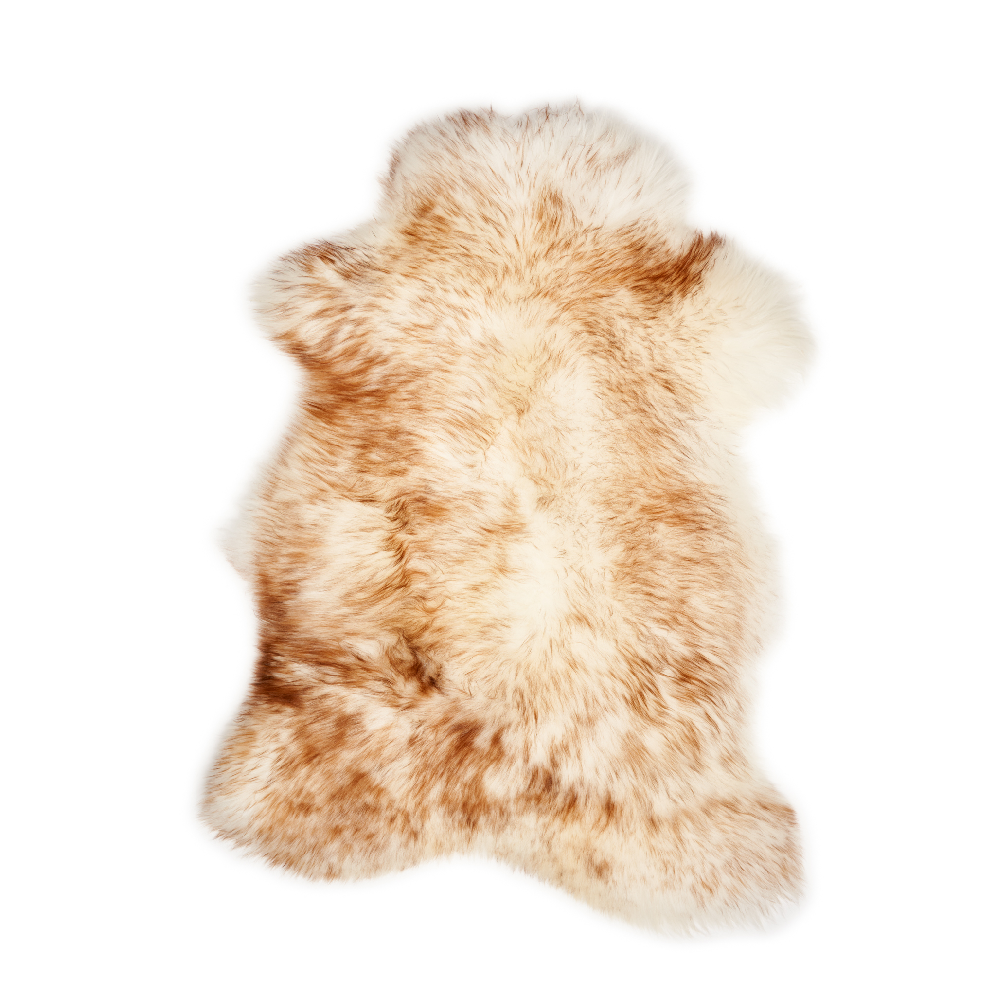 SkoryDekoracyjne_28.06.2024_06390