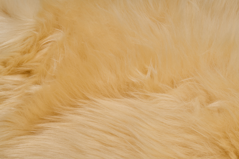 skóra owcza relugan (7)