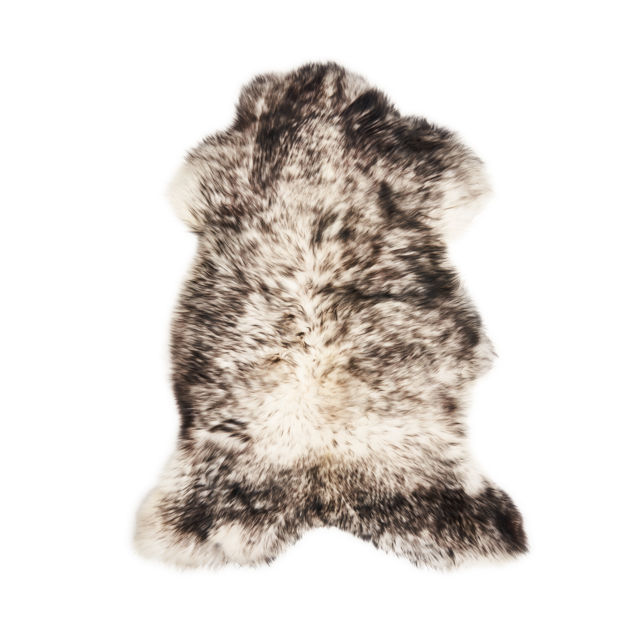 SkoryDekoracyjne_28.06.2024_06378