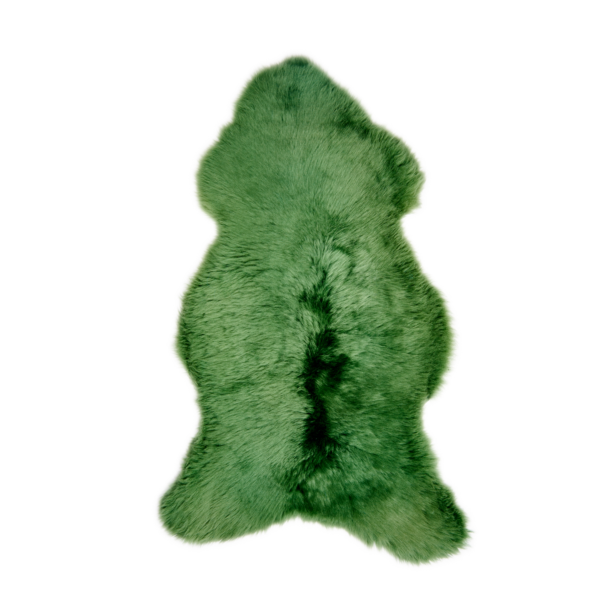 SkoryDekoracyjne_28.06.2024_06408