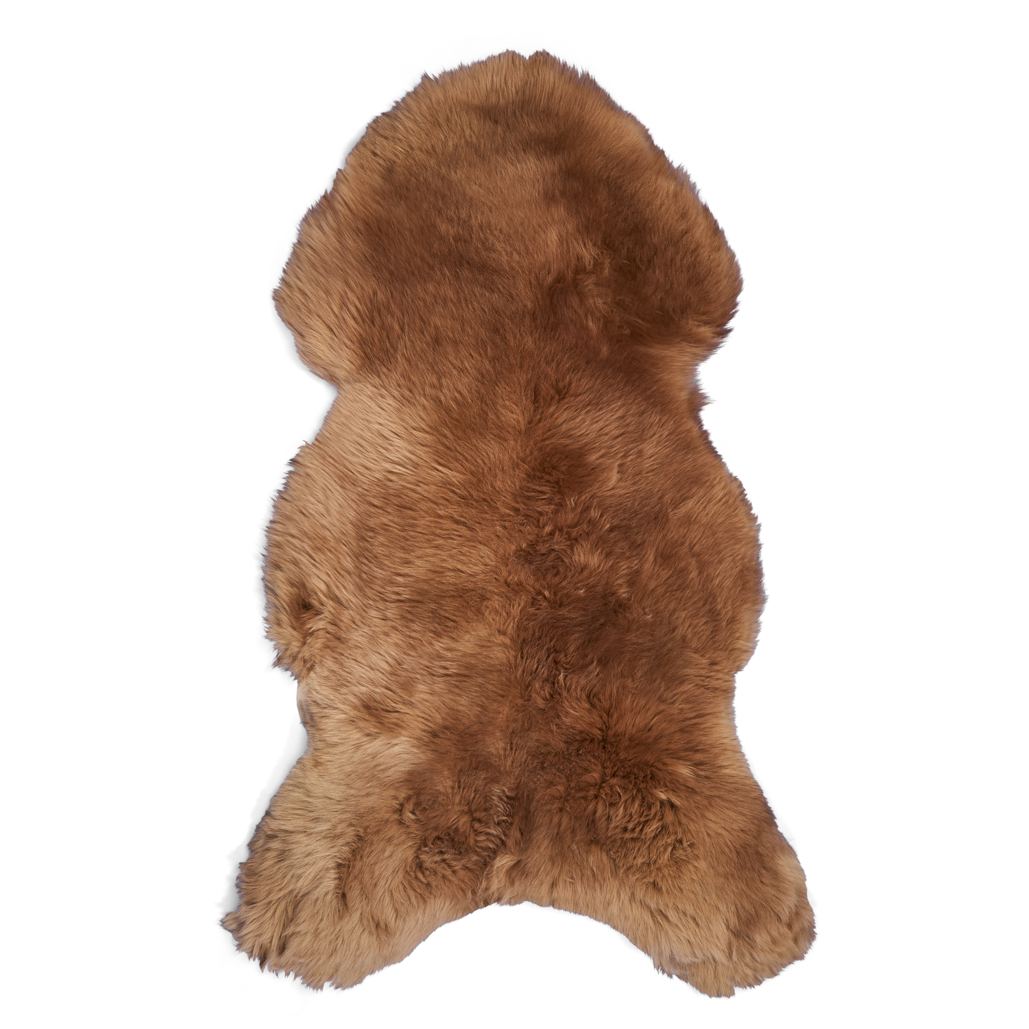 Stołowski_1_0045w (1)